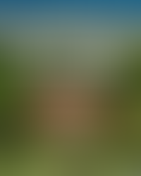 How to Price Your St. Croix Home for the Island Market