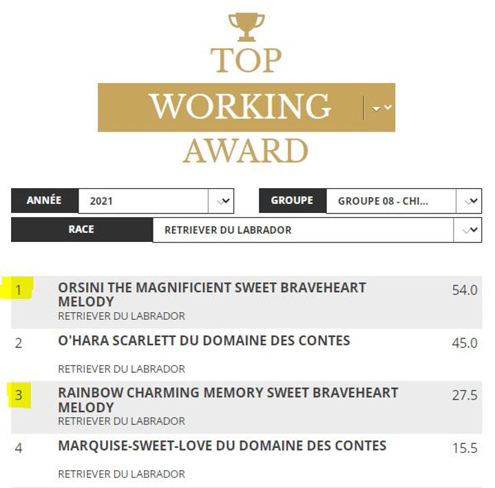 CLASSEMENT-TOP-TRAVAIL-DOGS-REVELETION-2021.JPG