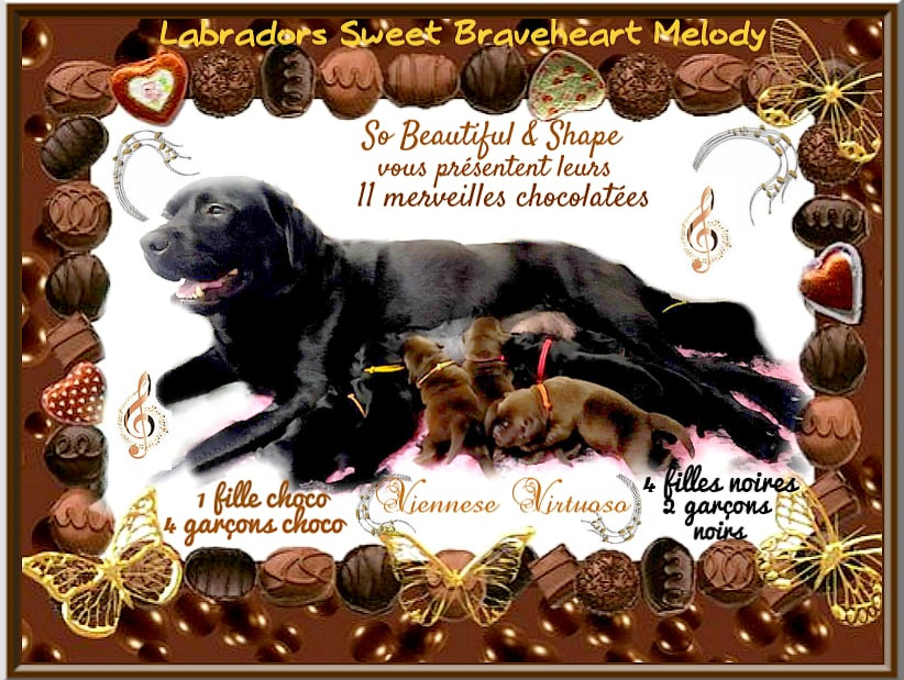 ANNONCE-WEB-NAISSANCE.jpg