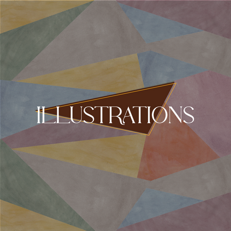 cover illustration FNs.png