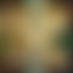 Les Fausses Croyances de la Spiritualité !