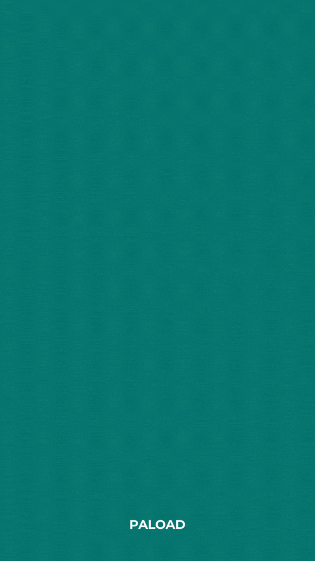 HOW TO USE PALOAD APP update 2.gif