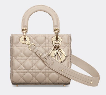 dior handbag