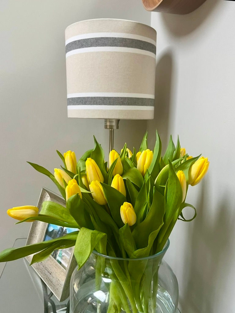 Thumbnail: Mediterra Lampshade from $55