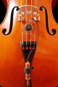 Ear Trumpet Labs Receives Stellar Review from Bass Gear Magazine