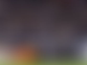 Atlético-MG e Palmeiras tem noite de gala