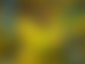 Com Raphinha, seleção dá show e nomes como Gabigol e Richarlison correm o risco de ficarem pra trás