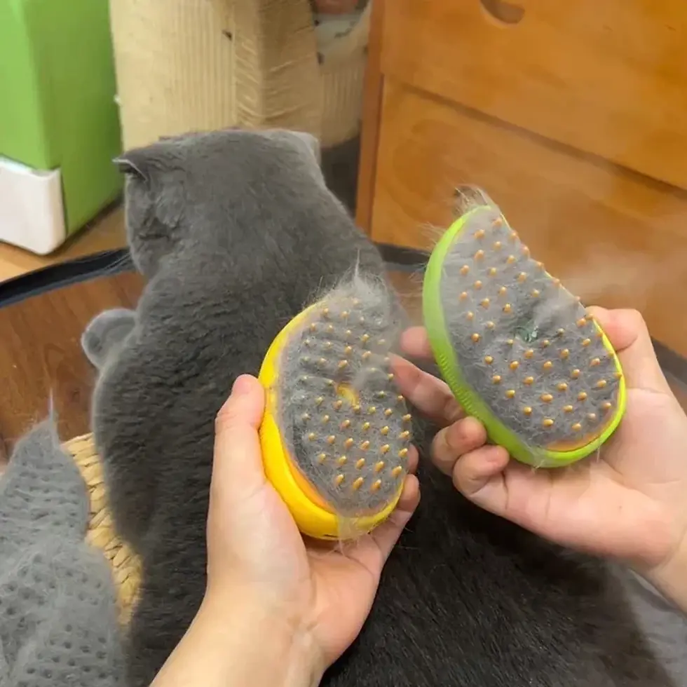 Thumbnail: Cat Dog Steamy Brush Steam Brush Electric Sprayer for Massage Pet Grooming tool 