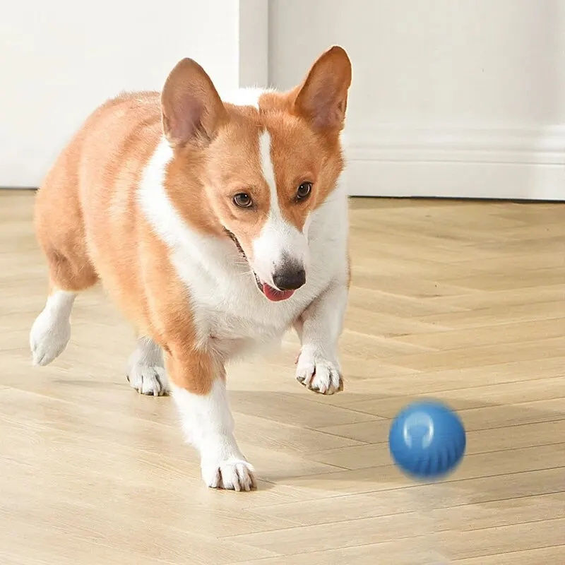 Thumbnail: Smart Dog Toys Ball Electronic Interactive Pet Toy Moving Ball USB Automatic Mov