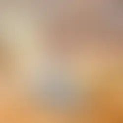 Ust cene genisletme aparati ve vida mekanizmasi