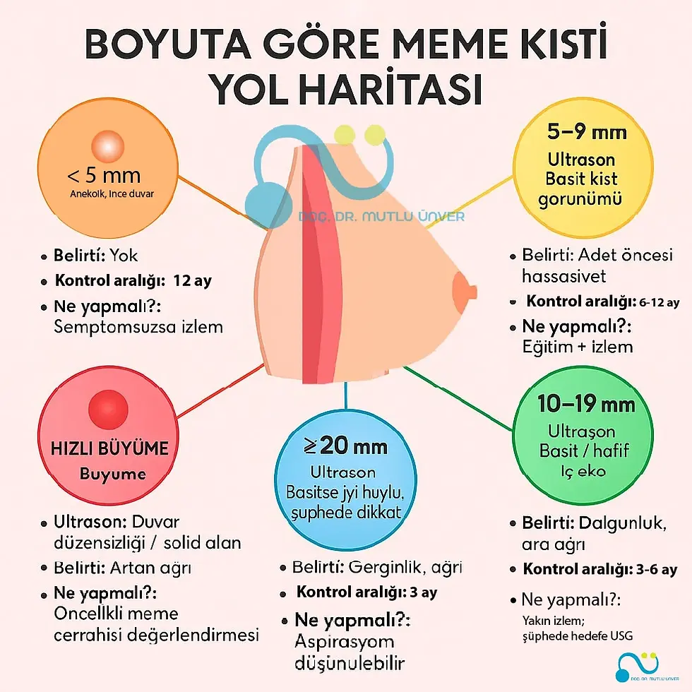 Boyuta Göre Meme Kisti Yol Haritası  5mm meme kisti, 10 mm meme kisti