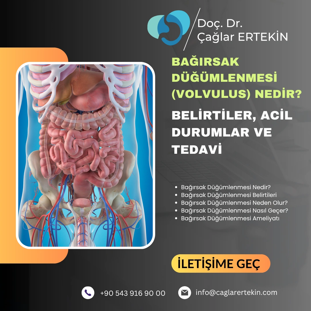 kıl dönmesi neden olur