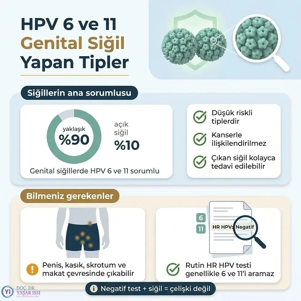 HPV Tip 11