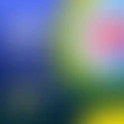 Portal Hipertansiyon Nedir? Belirtileri ve Tedavi Yöntemleri