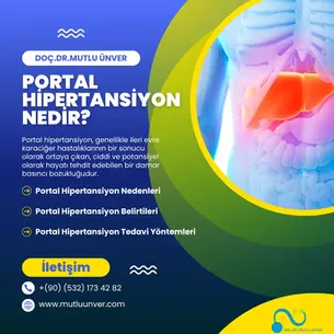 Portal Hipertansiyon Nedir? Belirtileri ve Tedavi Yöntemleri