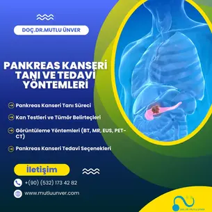Pankreas kanseri tanı ve tedavi yöntemlerini gösteren bilgilendirici içerik; kan testleri, görüntüleme yöntemleri, cerrahi ve kemoterapi seçenekleri hakkında açıklama.