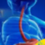 Yemek Borusunda Batma Hissi
Yemek Borusu Tahrişi Belirtileri