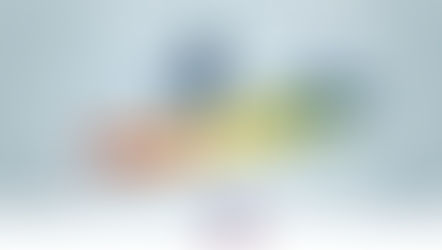 Organizational transformation model, Excelencia360