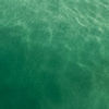DJI_20250526123644_0084_D.jpg