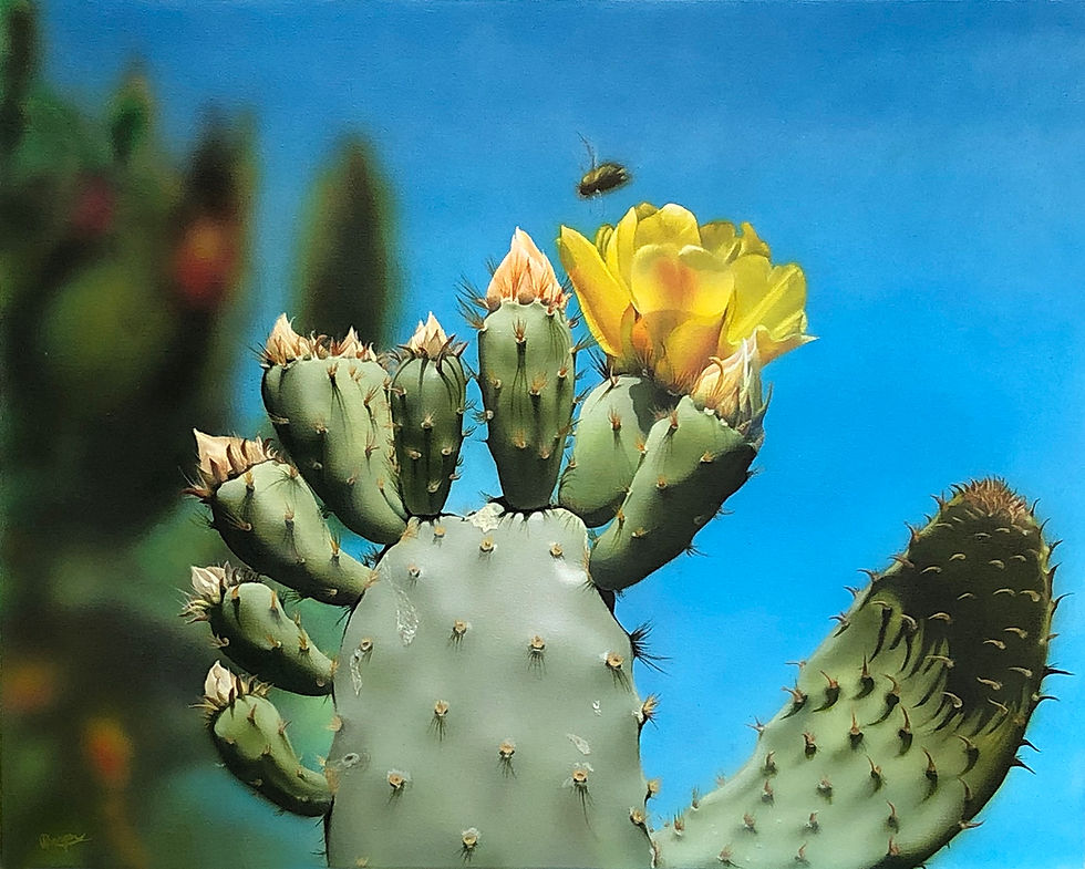 First Cactus Bloom