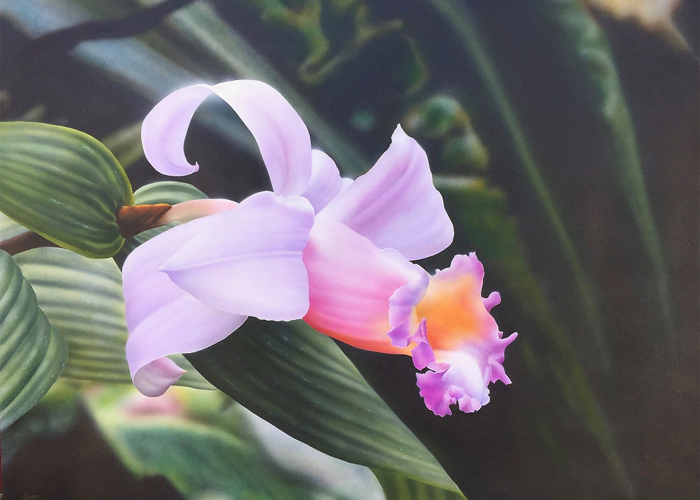 Belle Fleur