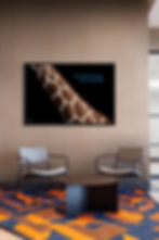 Giraffes Neck