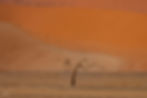 Whispers Of Sand