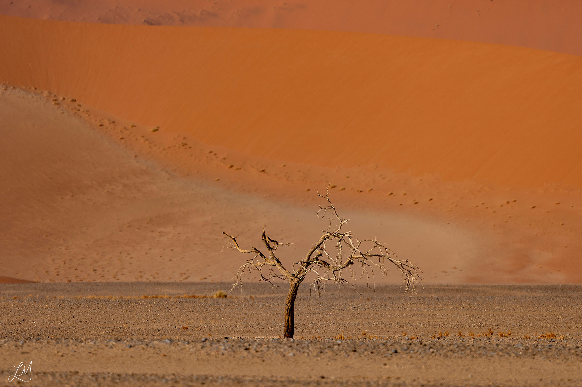 Whispers Of Sand