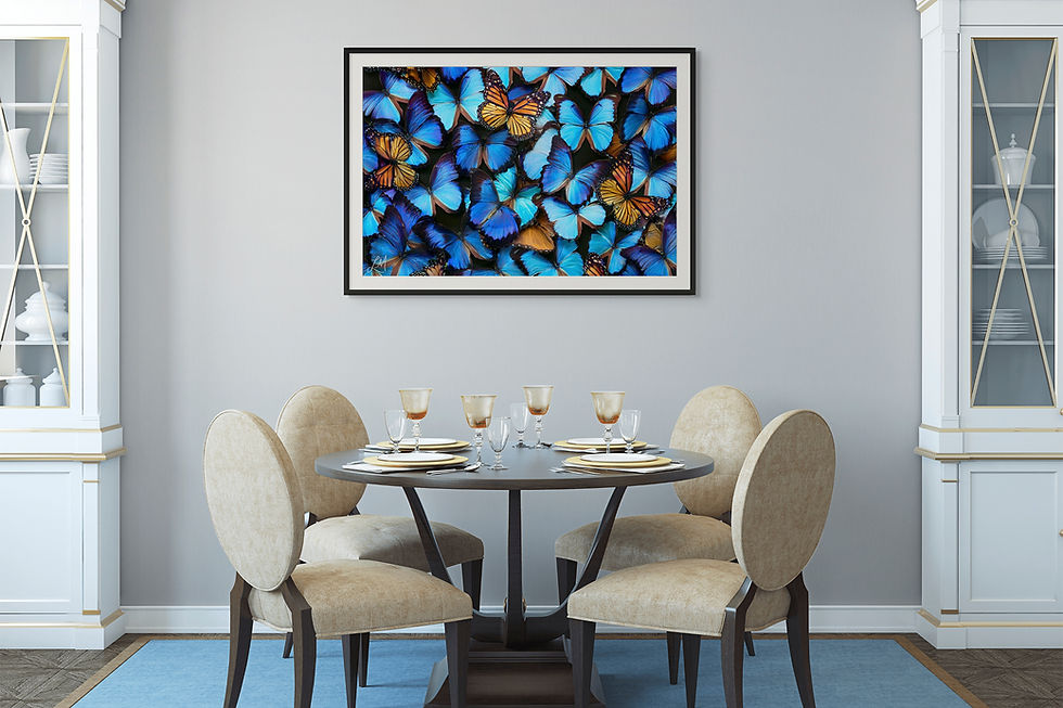 Thumbnail: Poetry Of Colour
