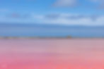 Pink Lake