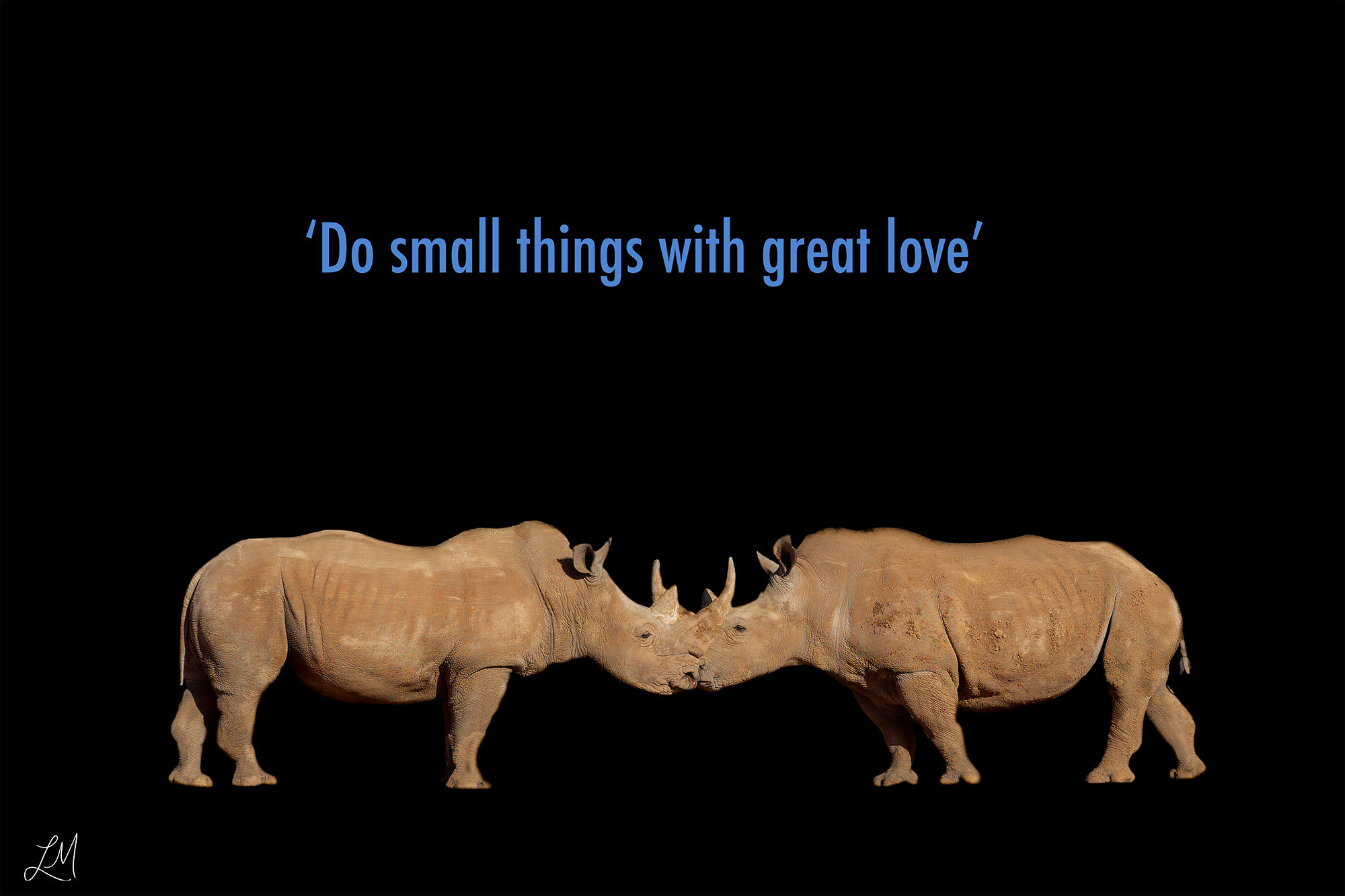 Rhinos Message