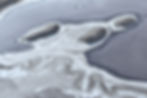 Winter White