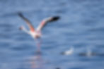 Taking Off