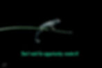 Blue Cameleon Message
