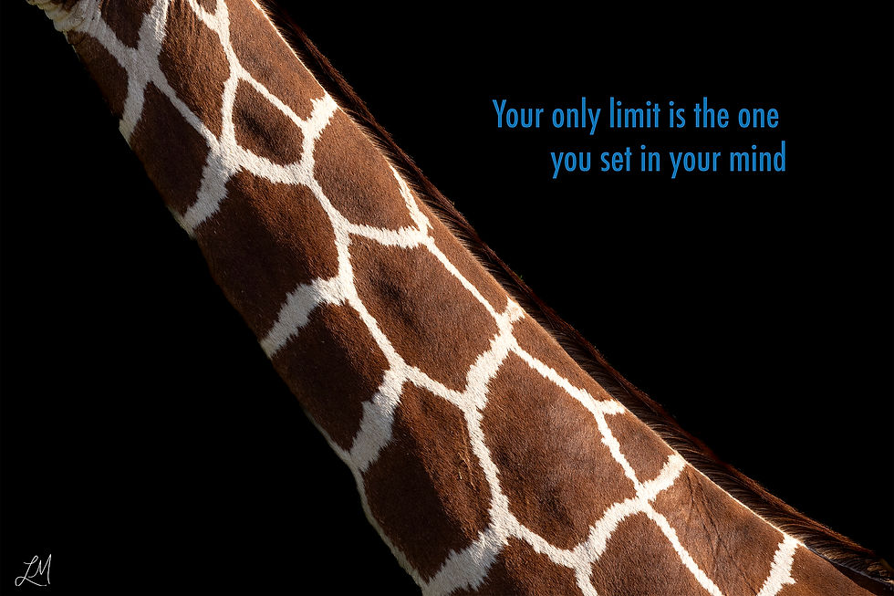 Thumbnail: Giraffes Neck