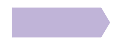 WC - Model Alliance Case Study (5).png