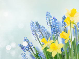 2024 Fundraising Trends: Unveiling Strategies for Summer Events