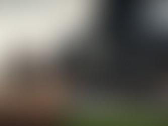 The Bettor's Blog December 29th