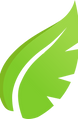 1.png