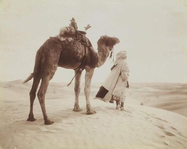 Storytelling en de metafoor