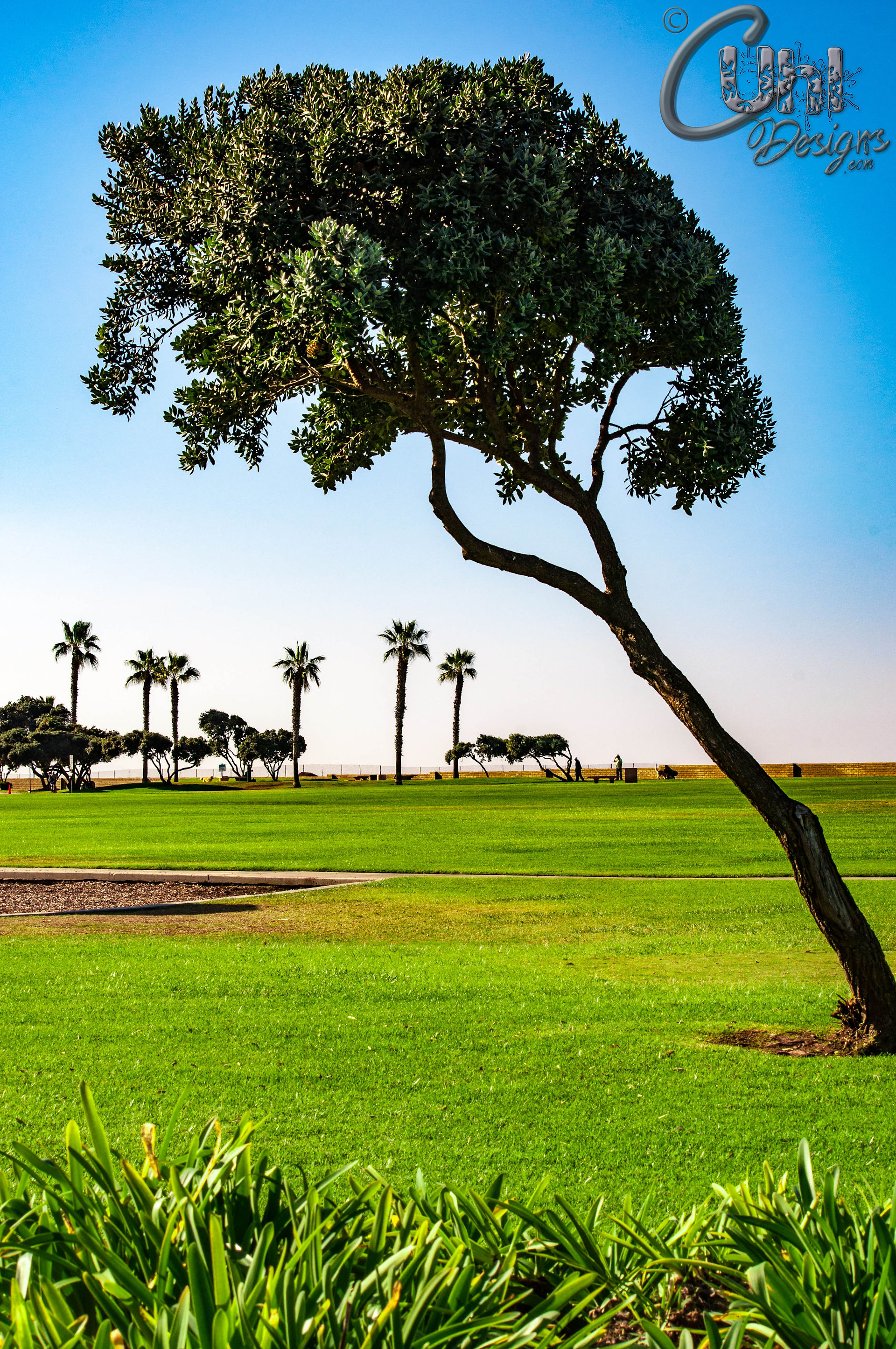 Coronado Cays Park