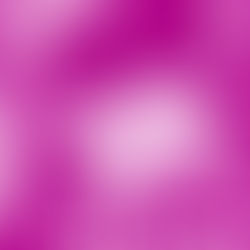 ARCHIVE 2001 | Fawn Gehweiler