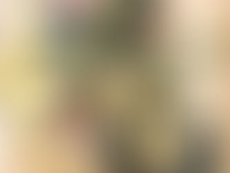 UNTANGLING the UNKNOWABLE Kristi Chan's Bodies of Water