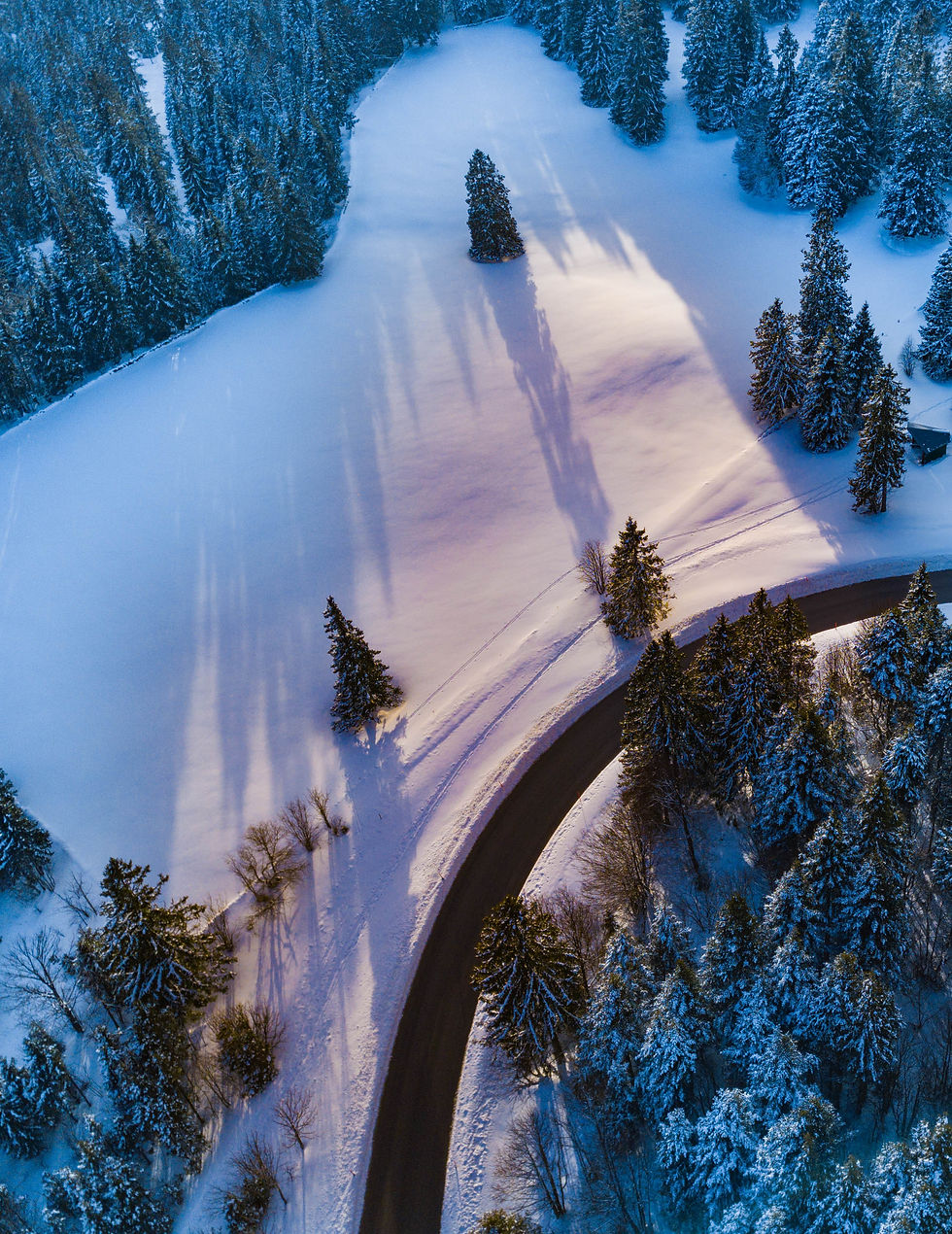 Suisse