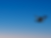 man-uses-tenology-drone-flight-2024-11-03-07-03-11-utc_edited_edited.png