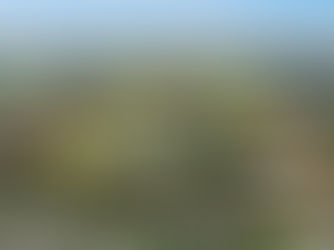 Landmark Northern Ireland Business Park Listed For Sale With CBRE NI