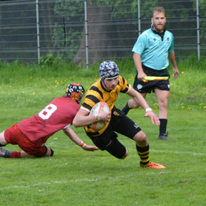 Víkendové zápasy mědvědů