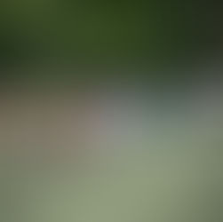 První krok k záchraně