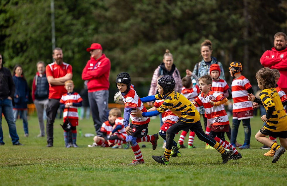 Foto Rugby Brno Cup