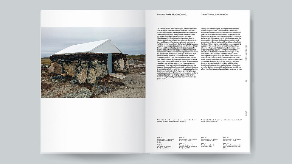 Miniature : Explorations nordiques / Northern Journeys